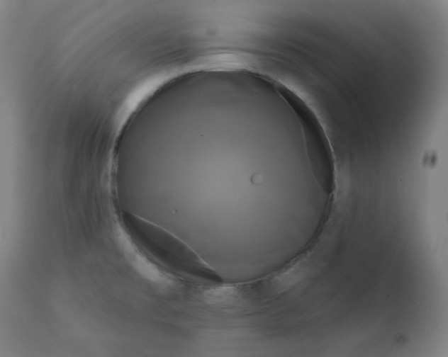 X0000111221477200907161239