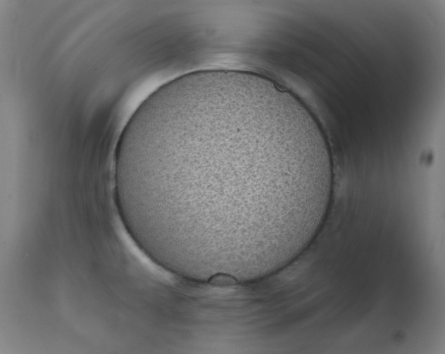 X0000111221479200907161239