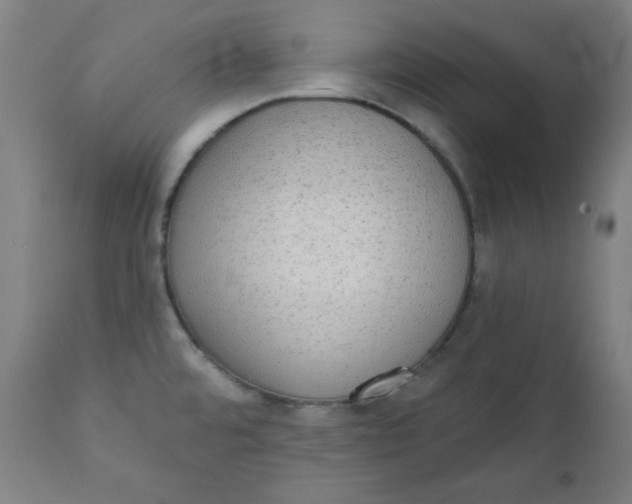 X0000111221480200907161239