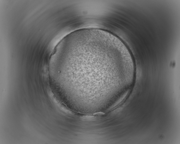 X0000111221481200907161239