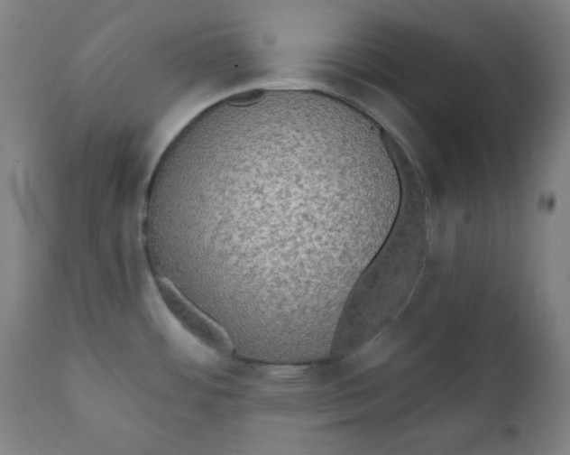X0000111221484200907161239