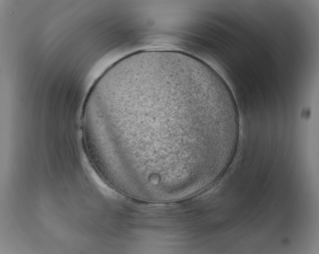 X0000111221485200907161239
