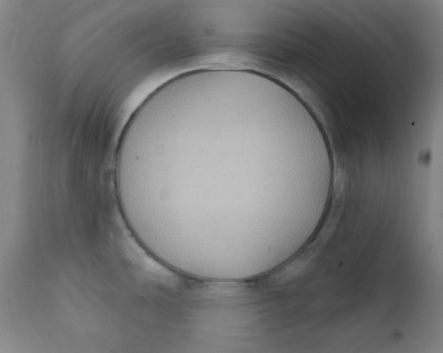 X0000111221486200907161239