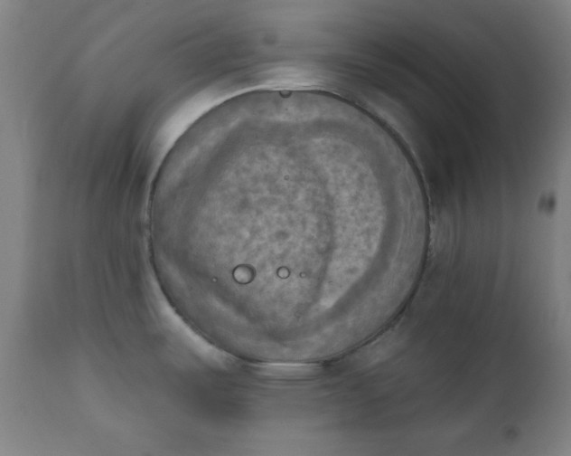 X0000111221487200907161239