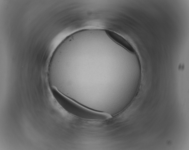 X0000111221488200907161239
