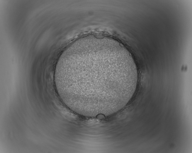X0000111221489200907161238