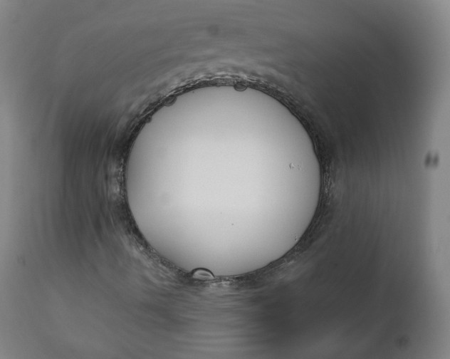 X0000111221490200907161238