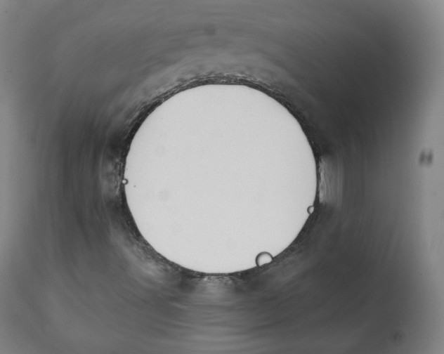 X0000111221491200907161238
