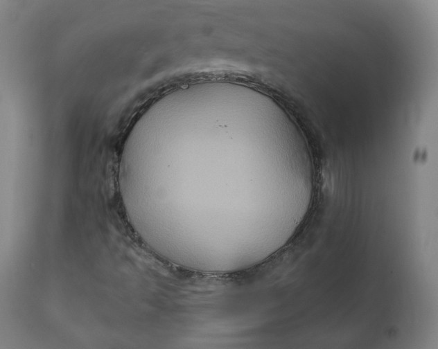 X0000111221493200907161238