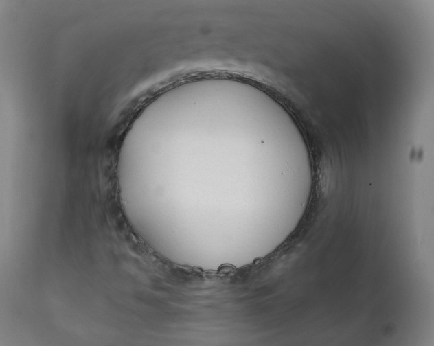 X0000111221494200907161238
