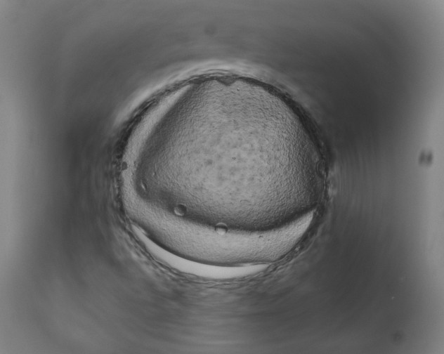 X0000111221496200907161238