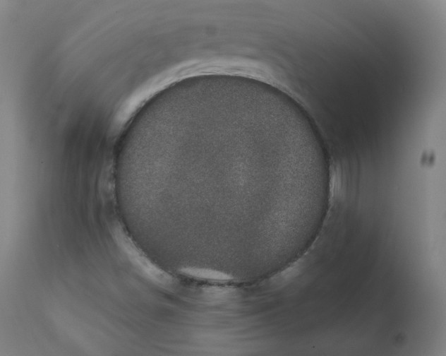 X0000111221498200907161238