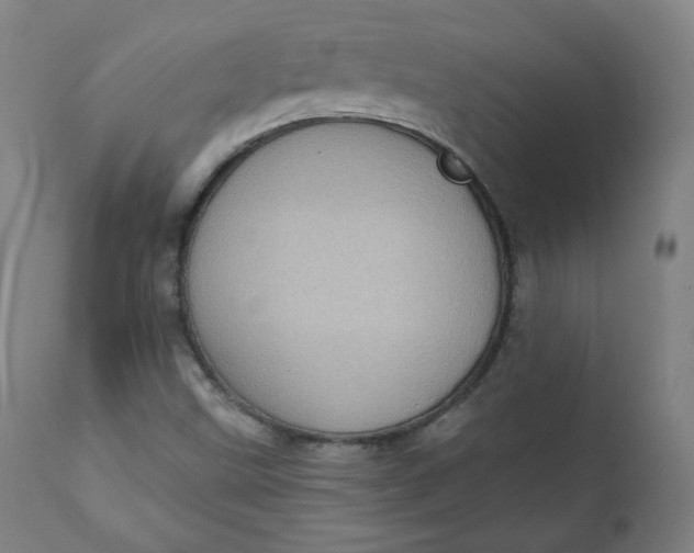 X0000111221499200907161238