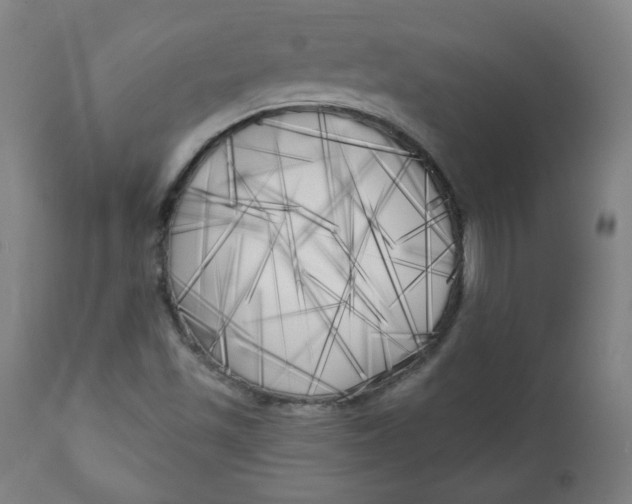 X0000111221501200907161238