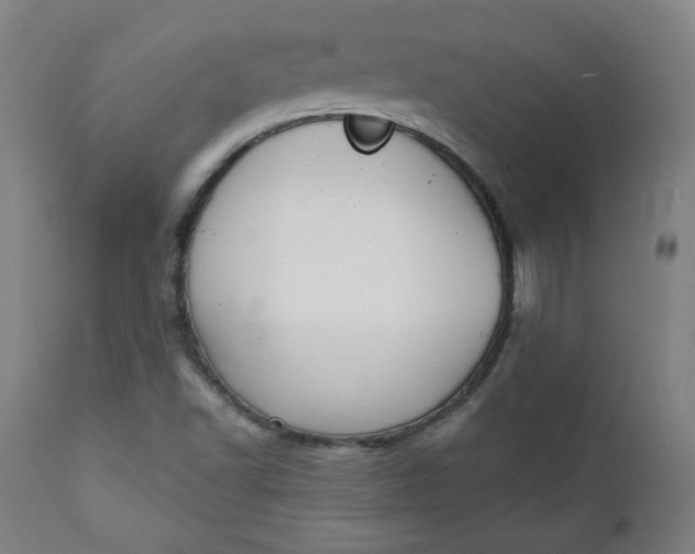 X0000111221502200907161238