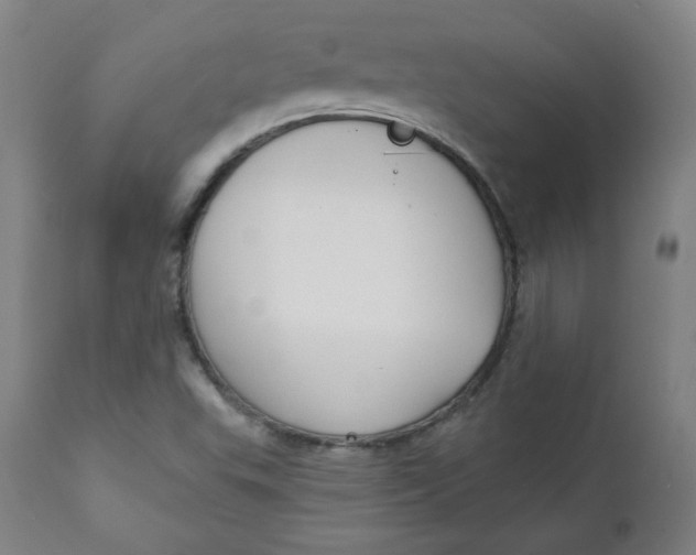 X0000111221503200907161238