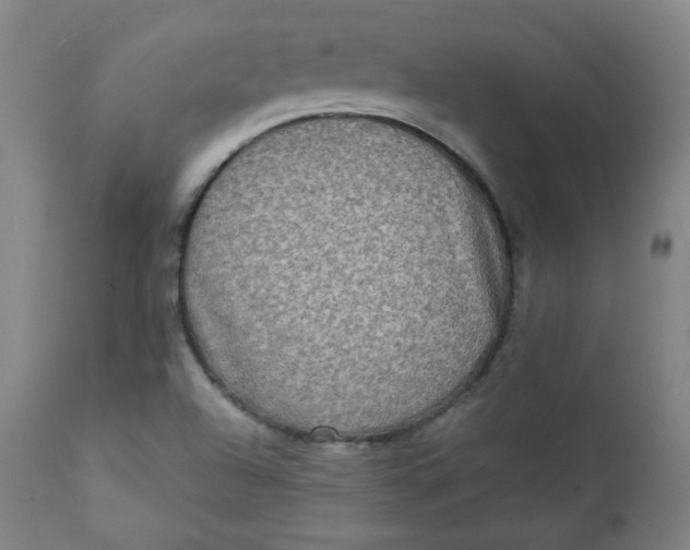 X0000111221504200907161238