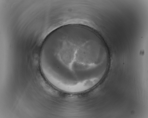 X0000111221505200907161238