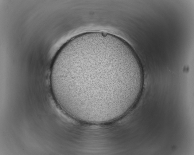 X0000111221507200907161238