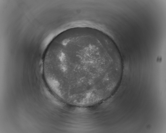 X0000111221509200907161238