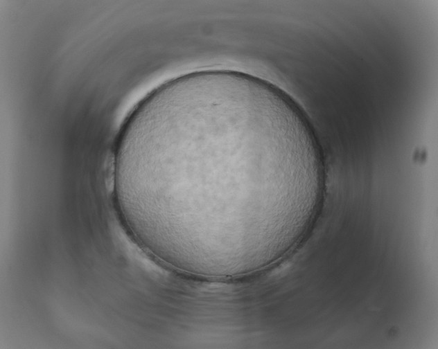 X0000111221510200907161238