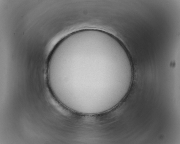 X0000111221511200907161238