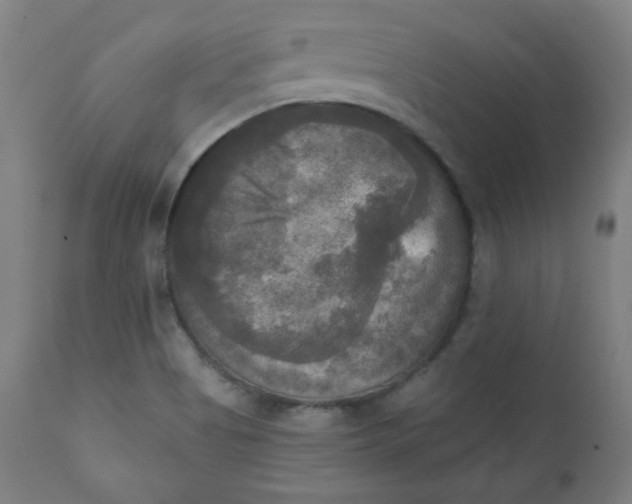 X0000111221513200907161238