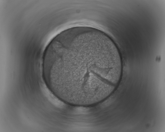 X0000111221514200907161238