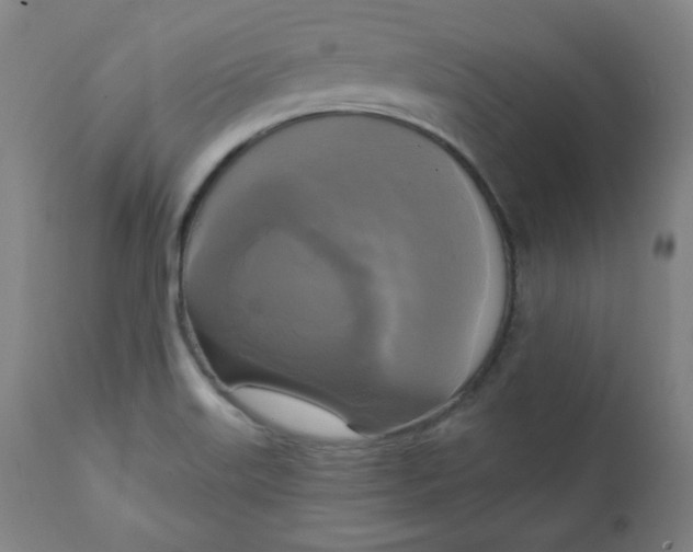 X0000111221515200907161238
