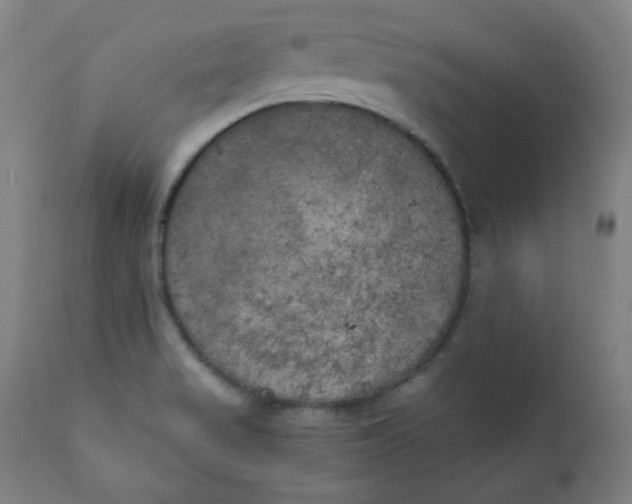 X0000111221517200907161239