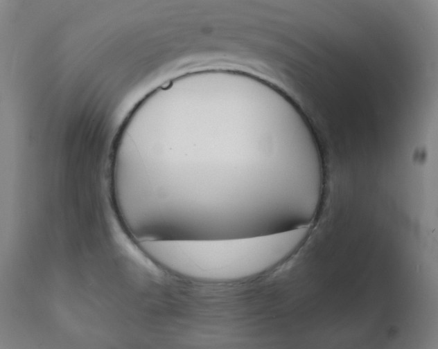 X0000111221518200907161239