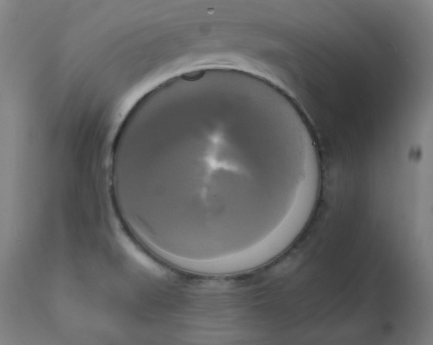 X0000111221519200907161239