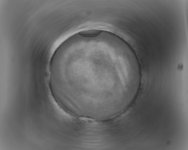 X0000111221520200907161239