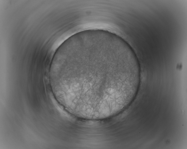 X0000111221521200907161239