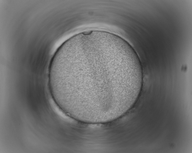 X0000111221523200907161239