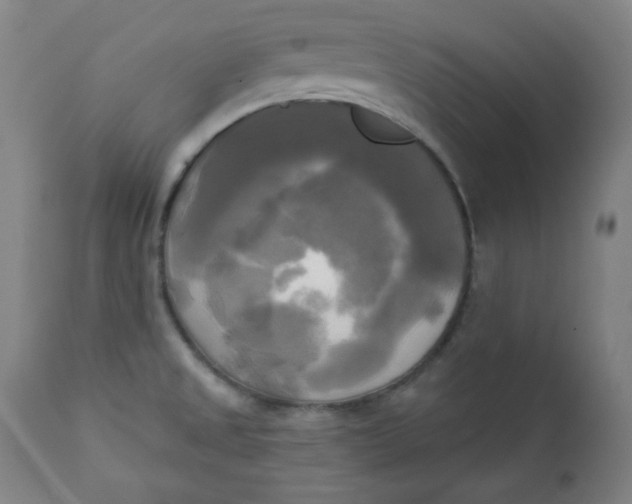X0000111221525200907161239
