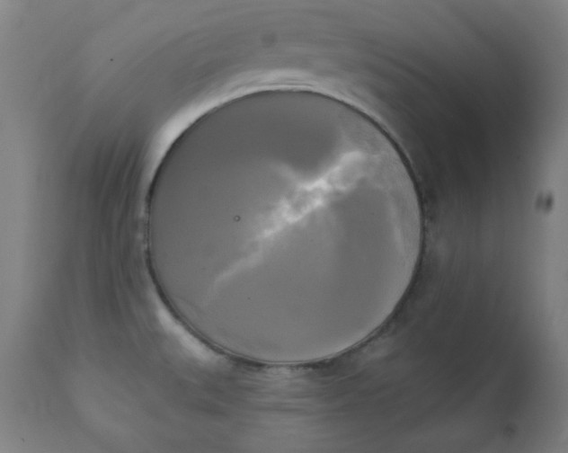 X0000111221527200907161239