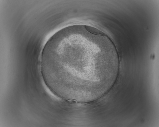 X0000111221528200907161239