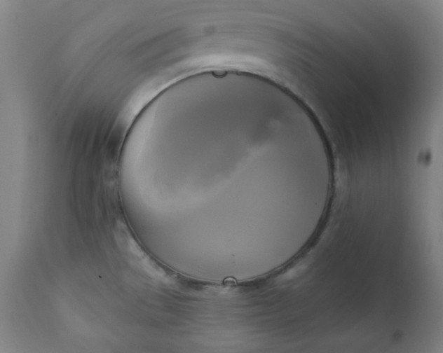 X0000111221529200907161239