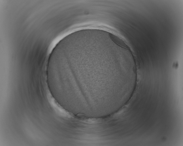 X0000111221530200907161239