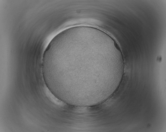 X0000111221532200907161239