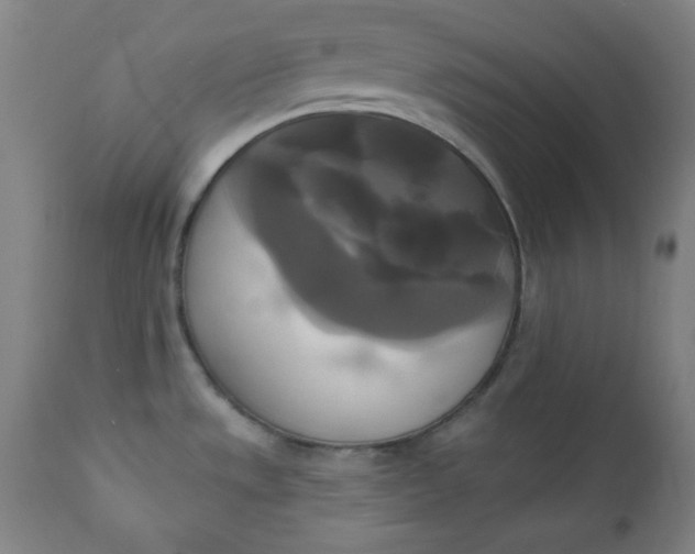 X0000111221533200907161239