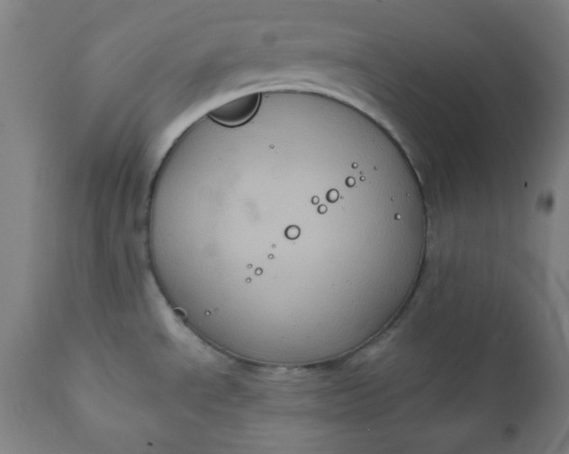 X0000111221534200907161239