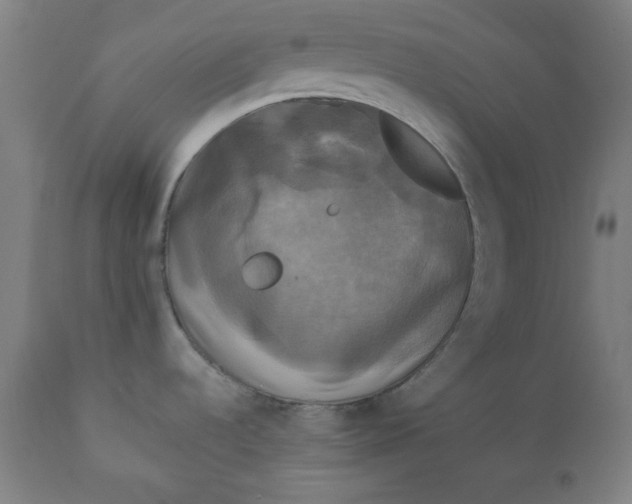 X0000111221536200907161239