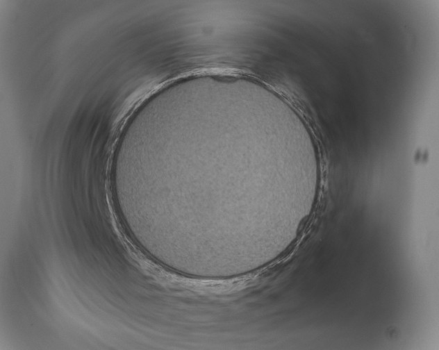 X0000111220001200907231451