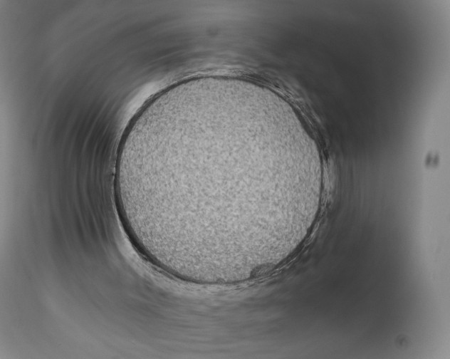 X0000111220003200907231451