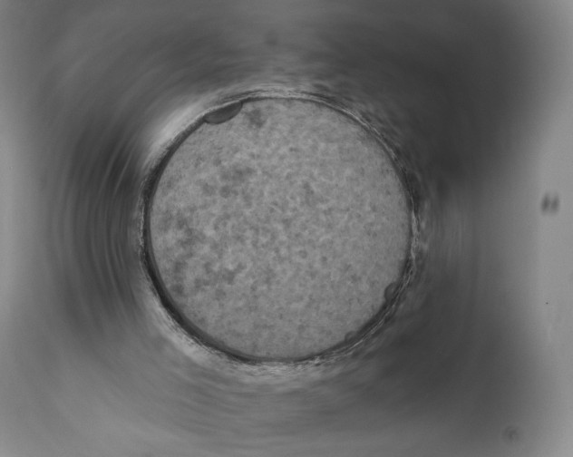X0000111220005200907231451