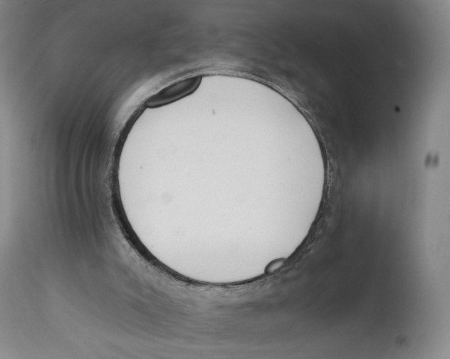 X0000111220007200907231451