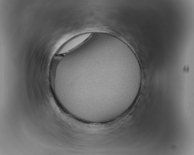 X0000111220008200907231451