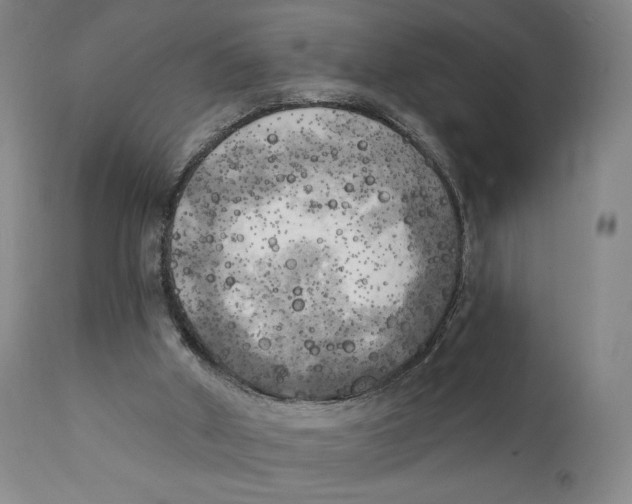 X0000111220010200907231451